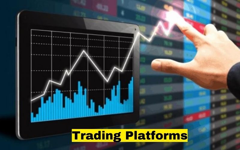 Exness Forex Trading Platforms