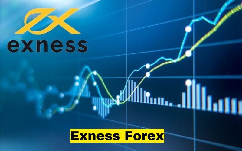 Exness Forex